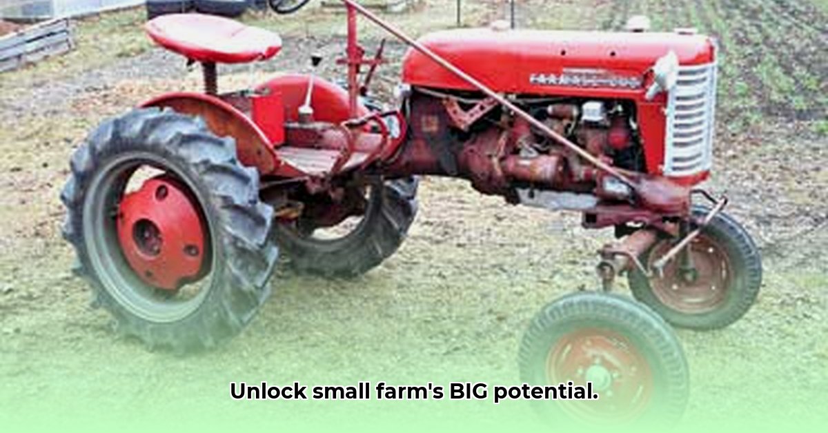 small-farmall-tractor